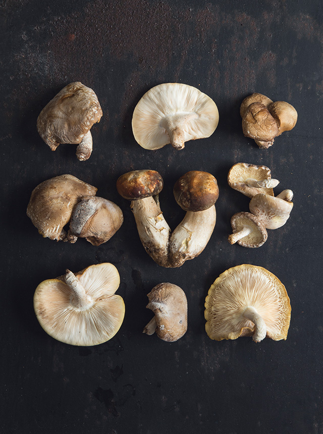 foraged mushrooms